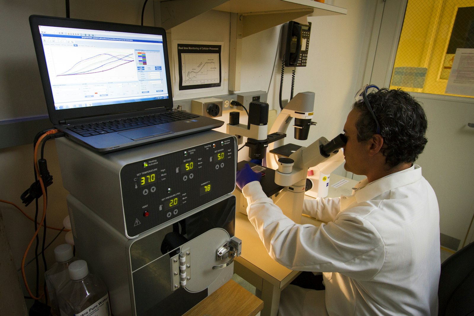 Pathology laboratory workspace